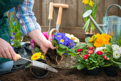 Weed-free garden path in Pimlico with clean landscaping